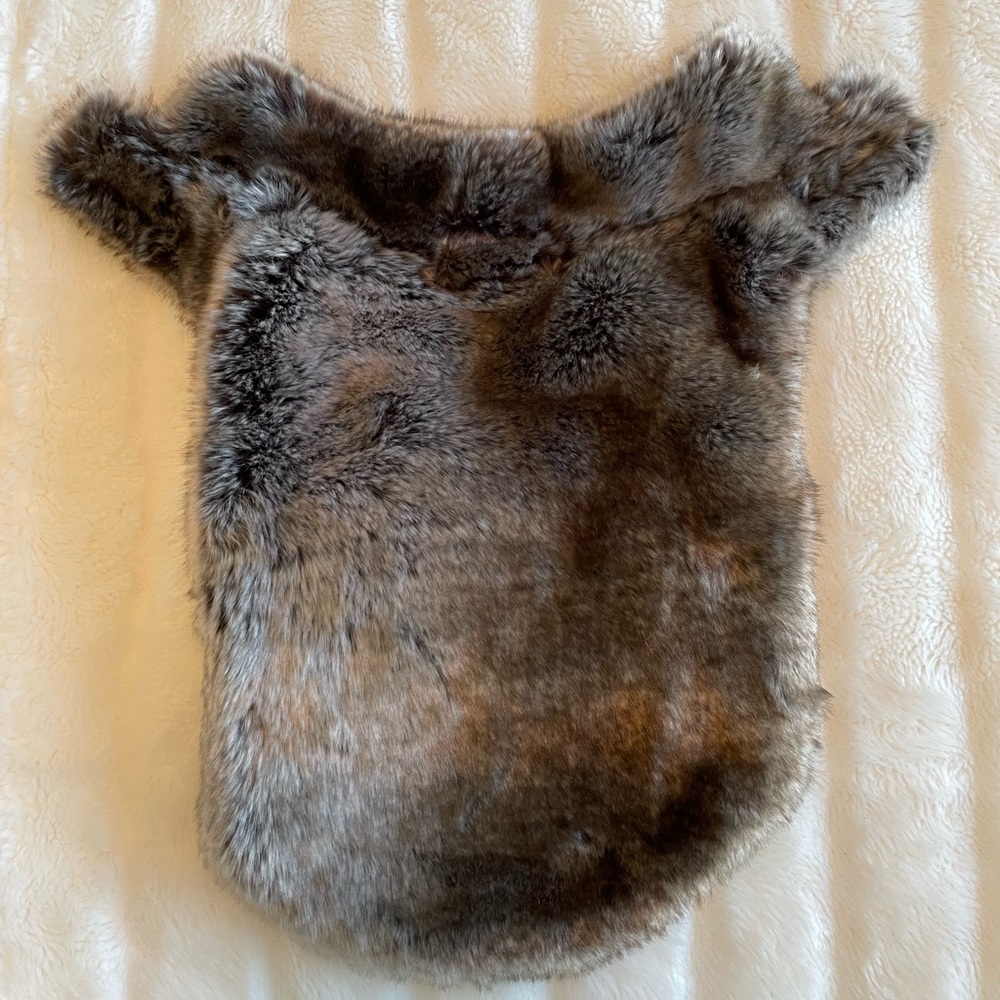 dog's winter coat